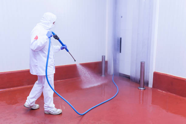 Best Building Exterior Washing  in Palm Beach Shores, FL