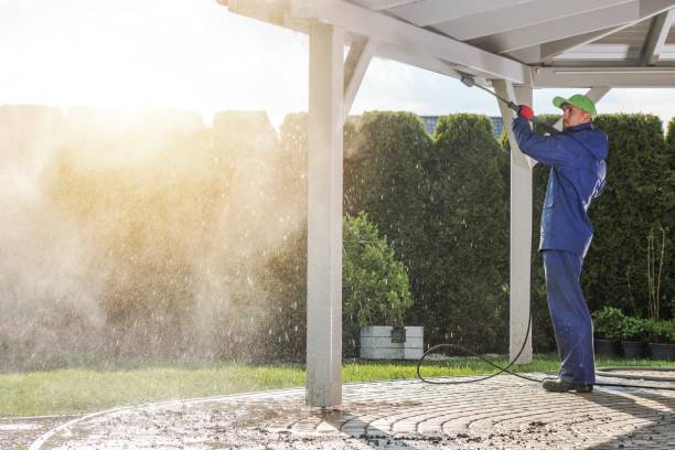 Best Driveway Pressure Washing  in Palm Beach Shores, FL